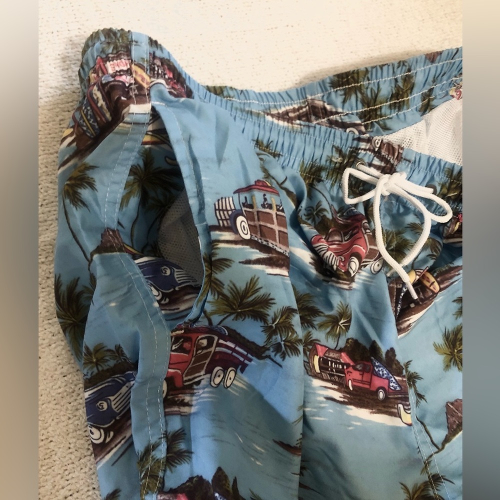 Island Mens Swim Trunks - Picture 2 of 9